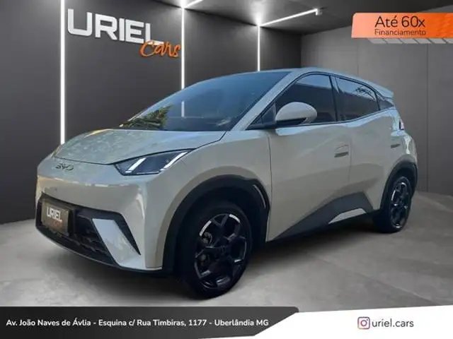 BYD DOLPHIN MINI 38 KW ELÉTRICO GS em Uberlândia, MG