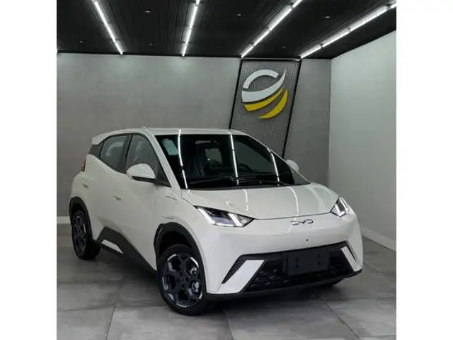 BYD DOLPHIN MINI 38 KW ELÉTRICO GS em Içara, SC