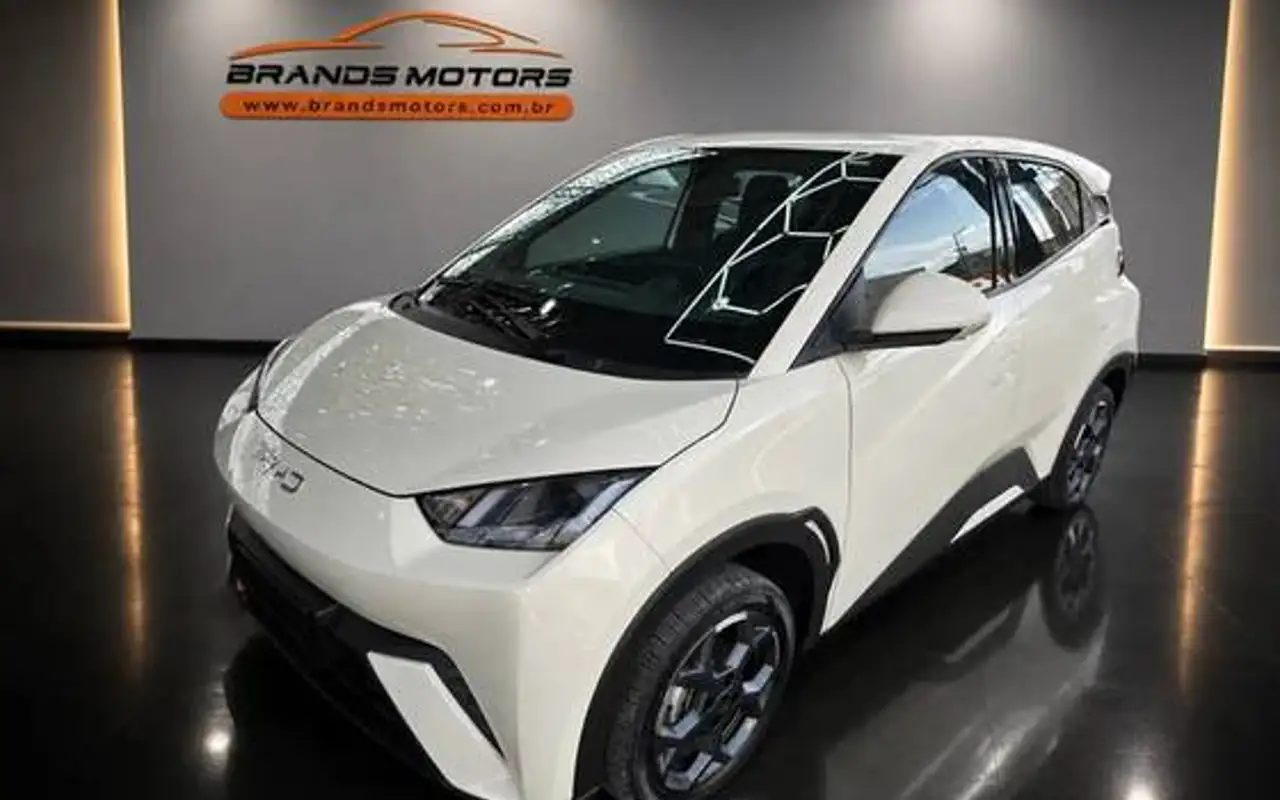 BYD DOLPHIN MINI 38 KW ELÉTRICO GS — foto 1 de 15