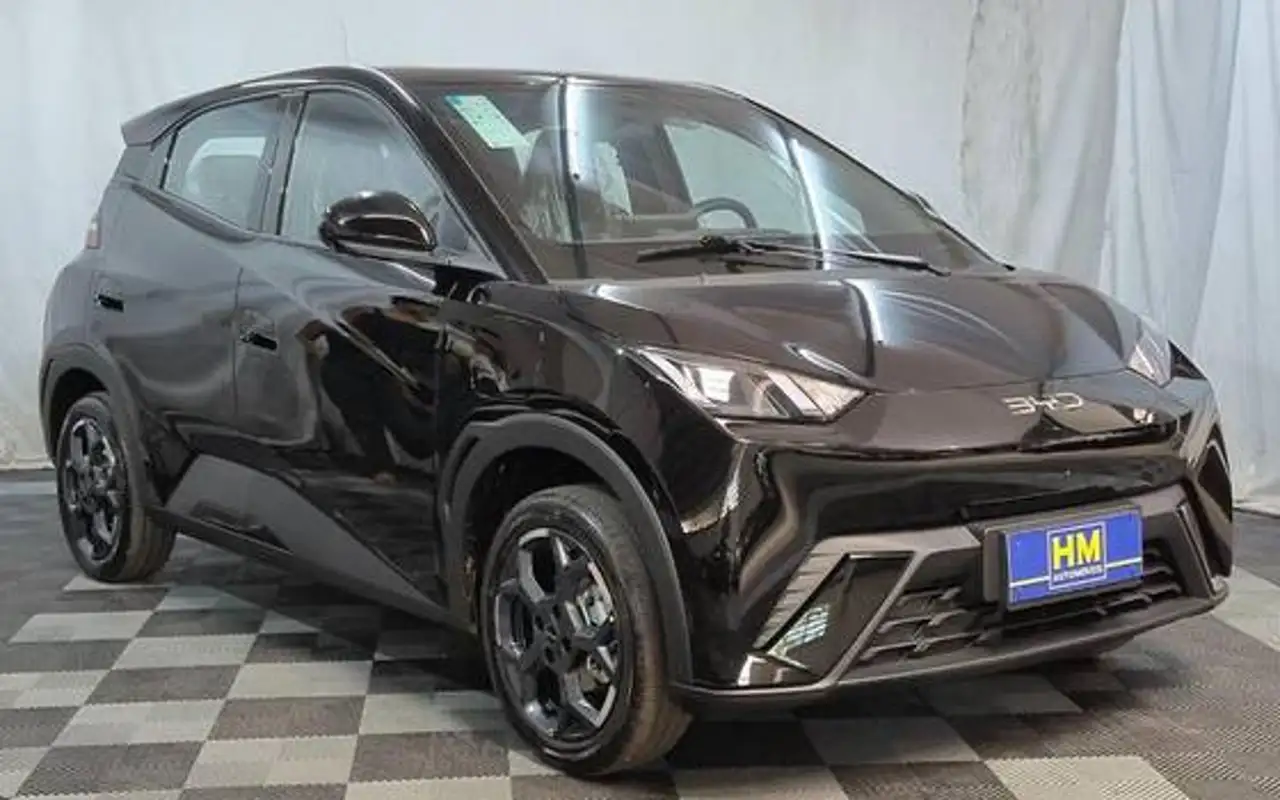 BYD DOLPHIN MINI 38 KW ELÉTRICO GS — foto 1 de 20