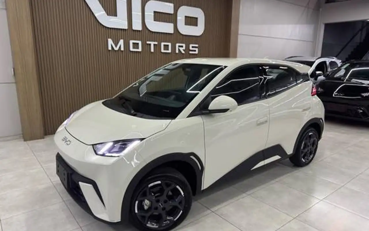 BYD DOLPHIN MINI 38 KW ELÉTRICO GS — foto 1 de 8