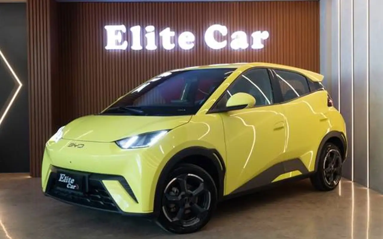 BYD DOLPHIN MINI 38 KW ELÉTRICO — foto 1 de 18