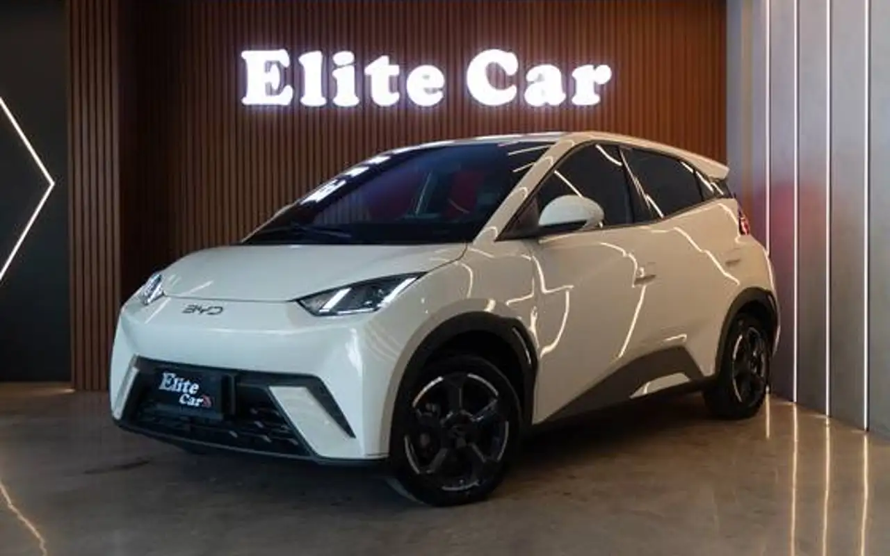 BYD DOLPHIN MINI 38 KW ELÉTRICO — foto 1 de 16