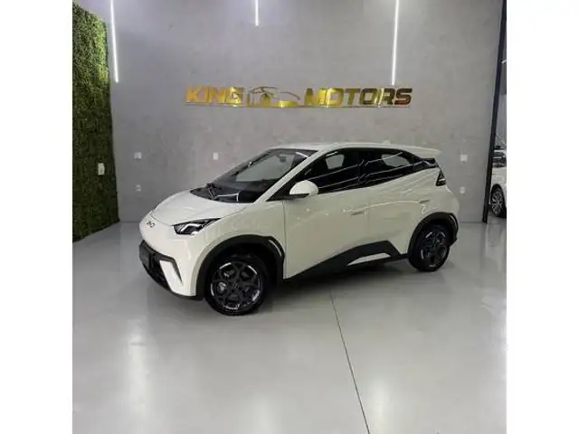 BYD DOLPHIN MINI 38 KW ELÉTRICO GL em São José do Rio Preto, SP