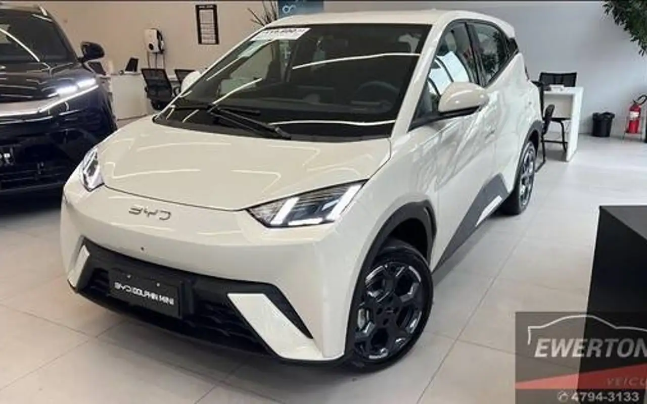 BYD DOLPHIN MINI 38 KW ELÉTRICO GS — foto 1 de 4