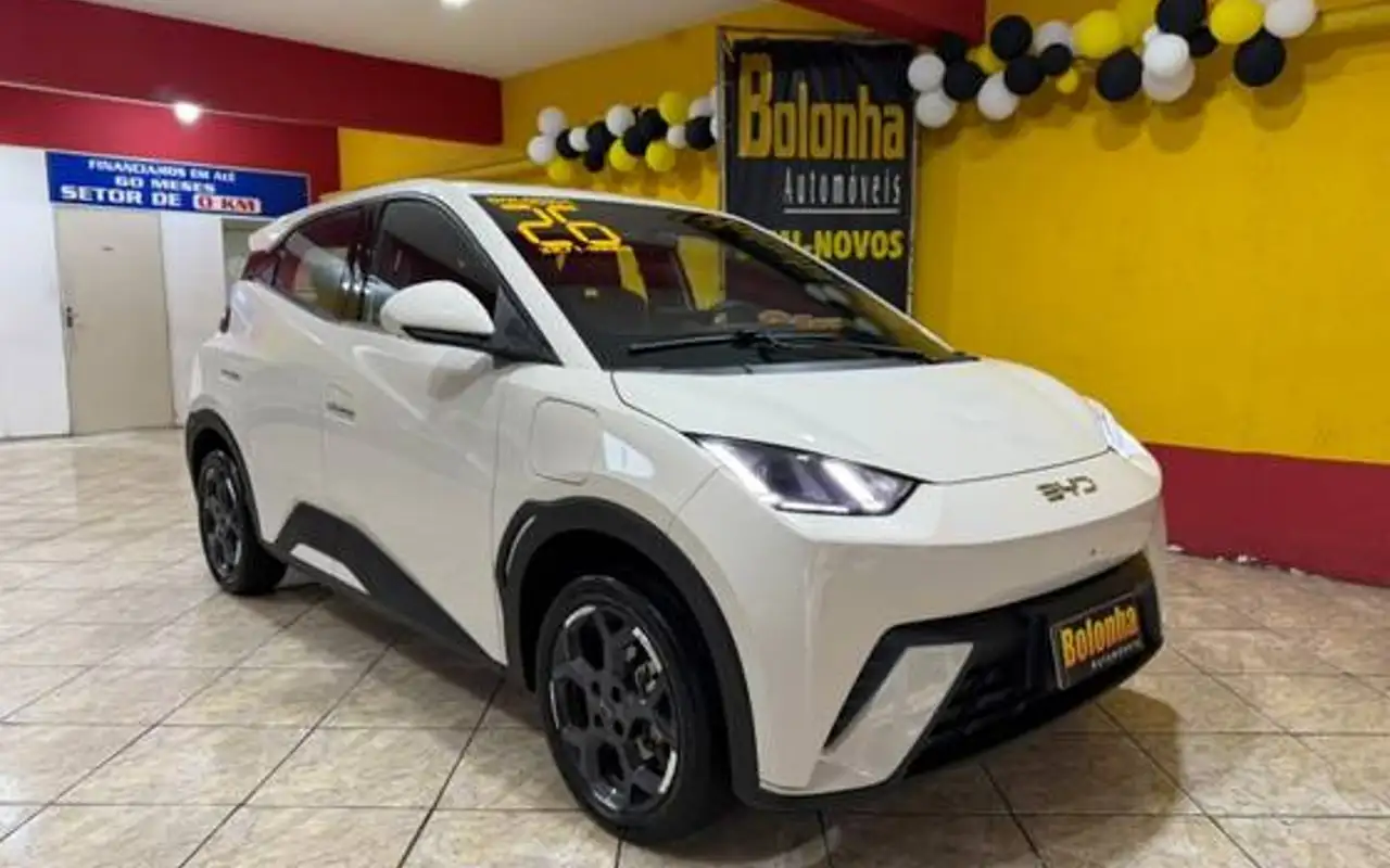 BYD DOLPHIN MINI 38 KW ELÉTRICO GS — foto 1 de 15