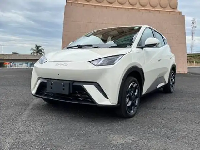 BYD DOLPHIN MINI 38 KW ELÉTRICO GS em Uberlândia, MG