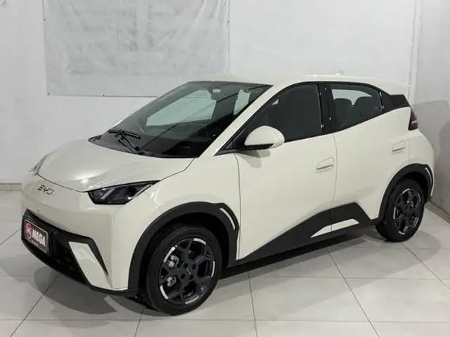 BYD DOLPHIN MINI 38 KW ELÉTRICO GS em Guaramirim, SC