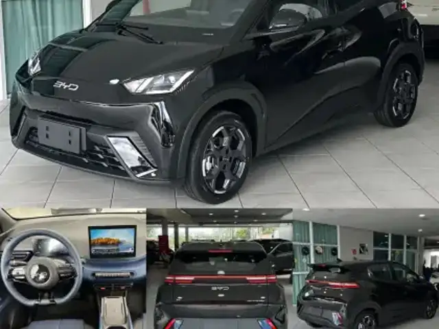 BYD DOLPHIN MINI 38 KW ELÉTRICO GS em Paulo Afonso, BA