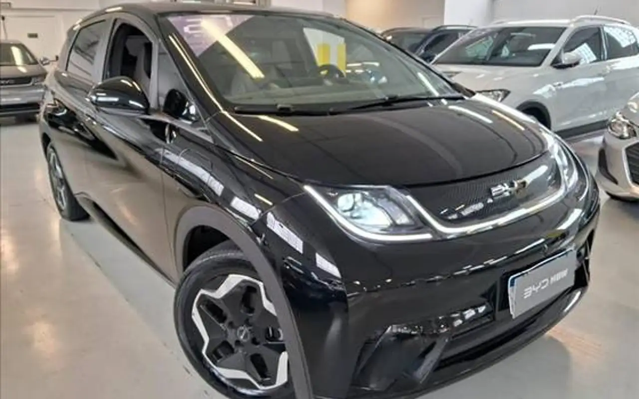 BYD DOLPHIN 44,9 KW ELÉTRICO GS — foto 1 de 20