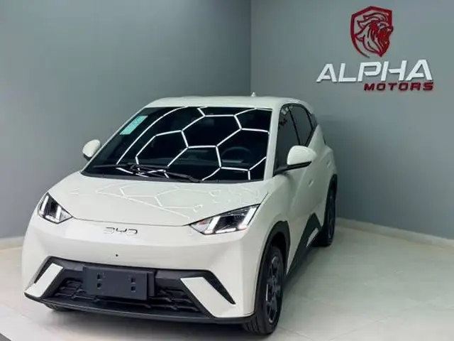 BYD DOLPHIN MINI 38 KW ELÉTRICO GS em Serra, ES