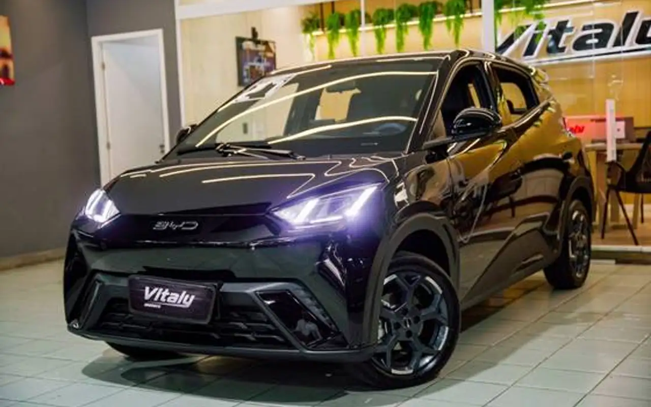BYD DOLPHIN MINI 38 KW ELÉTRICO GS — foto 1 de 20