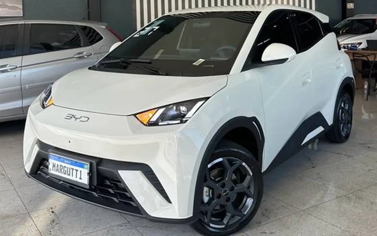 BYD DOLPHIN MINI 38 KW ELÉTRICO GS — foto 1 de 20