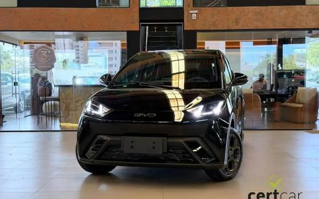 BYD DOLPHIN 44,9 KW ELÉTRICO GS — foto 1 de 18