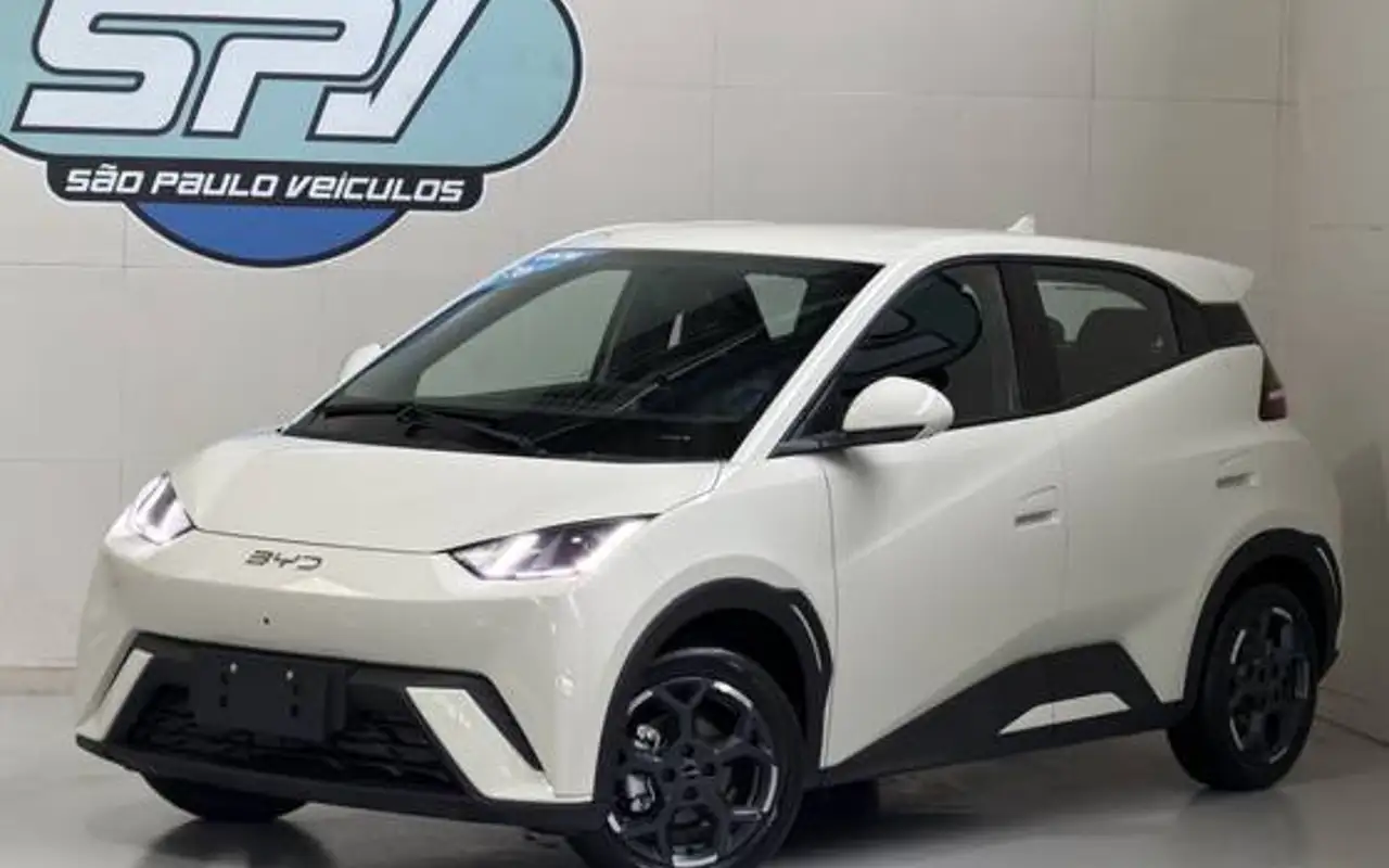 BYD DOLPHIN MINI 38 KW ELÉTRICO GS — foto 1 de 19