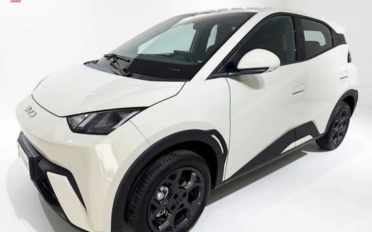 BYD DOLPHIN MINI 38 KW ELÉTRICO GS — foto 1 de 19