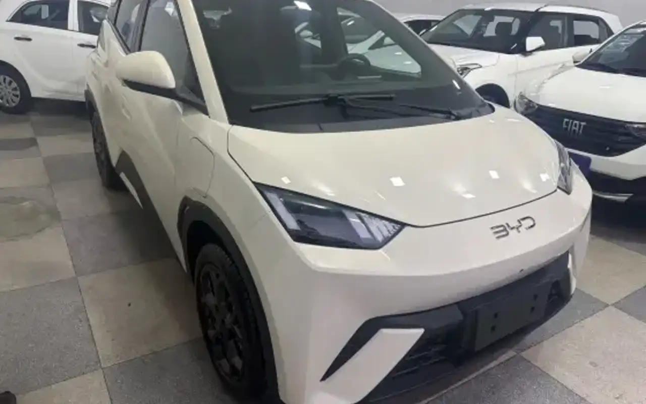 BYD DOLPHIN MINI 38 KW ELÉTRICO GS — foto 1 de 6