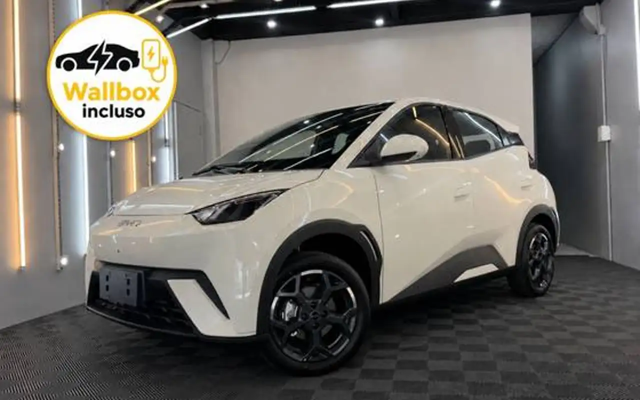 BYD DOLPHIN 44,9 KW ELÉTRICO GS — foto 1 de 13