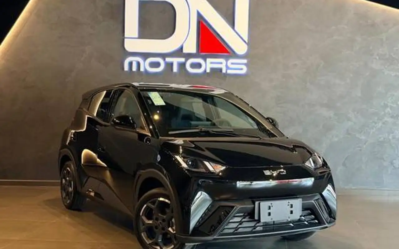 BYD DOLPHIN MINI 38 KW ELÉTRICO GL — foto 1 de 10