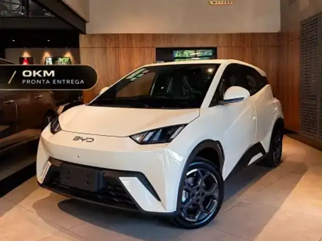 BYD DOLPHIN MINI 38 KW ELÉTRICO GS em Leme, SP