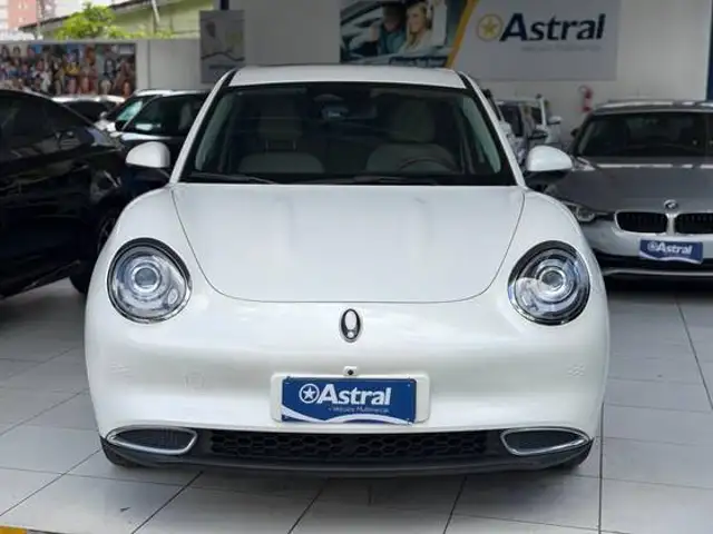 GWM ORA 03 48 KW ELÉTRICO SKIN BEV48 em Recife, PE