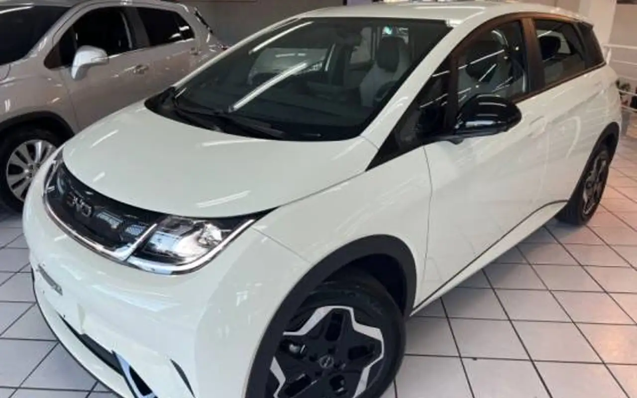 BYD DOLPHIN 44,9 KW ELÉTRICO GS — foto 1 de 15