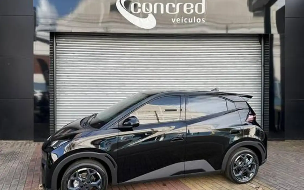 BYD DOLPHIN MINI 38 KW ELÉTRICO GS — foto 1 de 15
