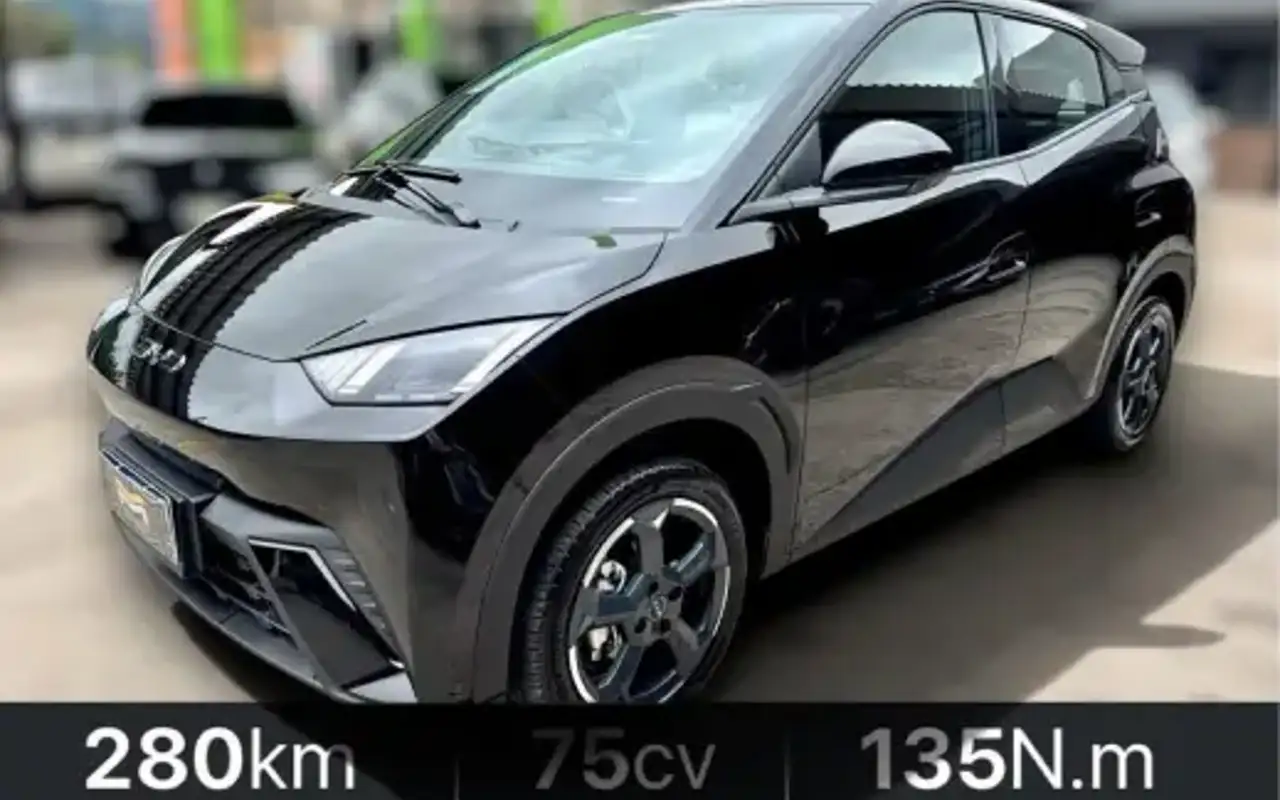 BYD DOLPHIN MINI 38 KW ELÉTRICO 5L — foto 1 de 10