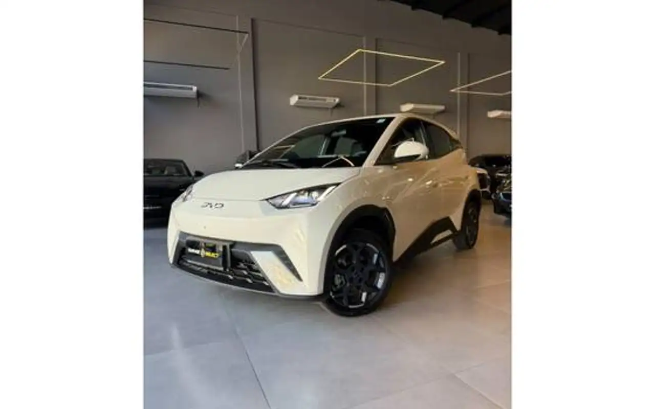 BYD DOLPHIN MINI 38 KW ELÉTRICO GS — foto 1 de 20