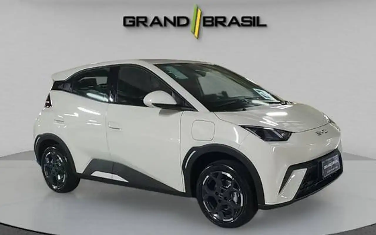 BYD DOLPHIN MINI 38 KW ELÉTRICO GS — foto 1 de 11