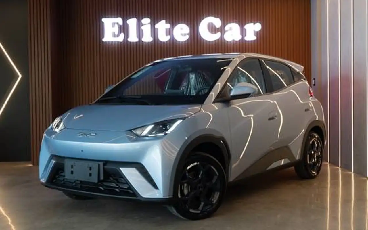BYD DOLPHIN MINI 38 KW ELÉTRICO GS — foto 1 de 20