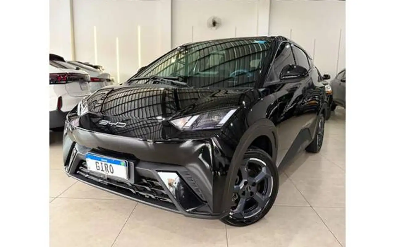 BYD DOLPHIN MINI 38 KW ELÉTRICO — foto 1 de 10