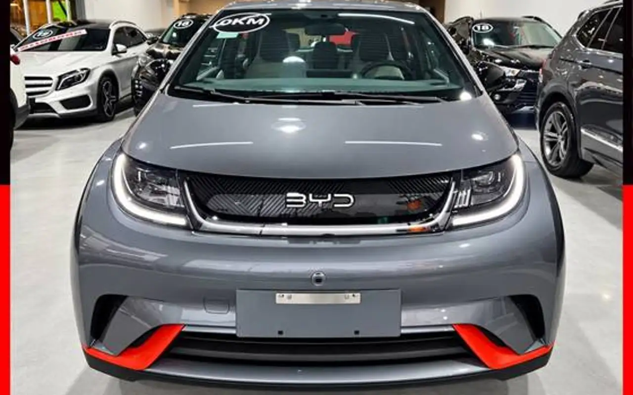 BYD DOLPHIN 44,9 KW ELÉTRICO GS — foto 1 de 17