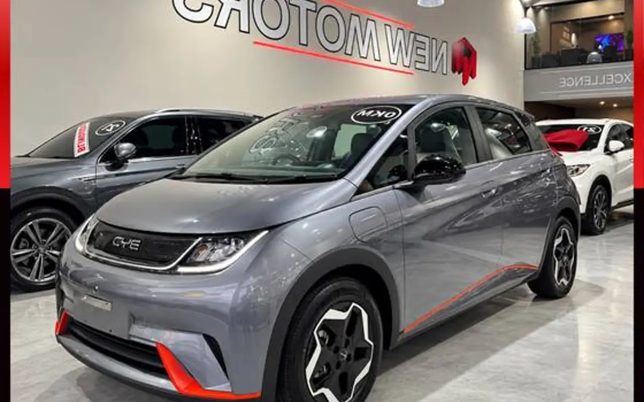 BYD DOLPHIN 44,9 KW ELÉTRICO GS — foto 1 de 19