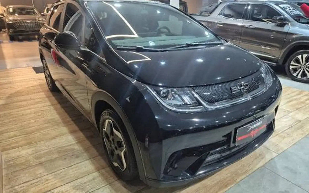 BYD DOLPHIN 44,9 KW ELÉTRICO GS — foto 1 de 15