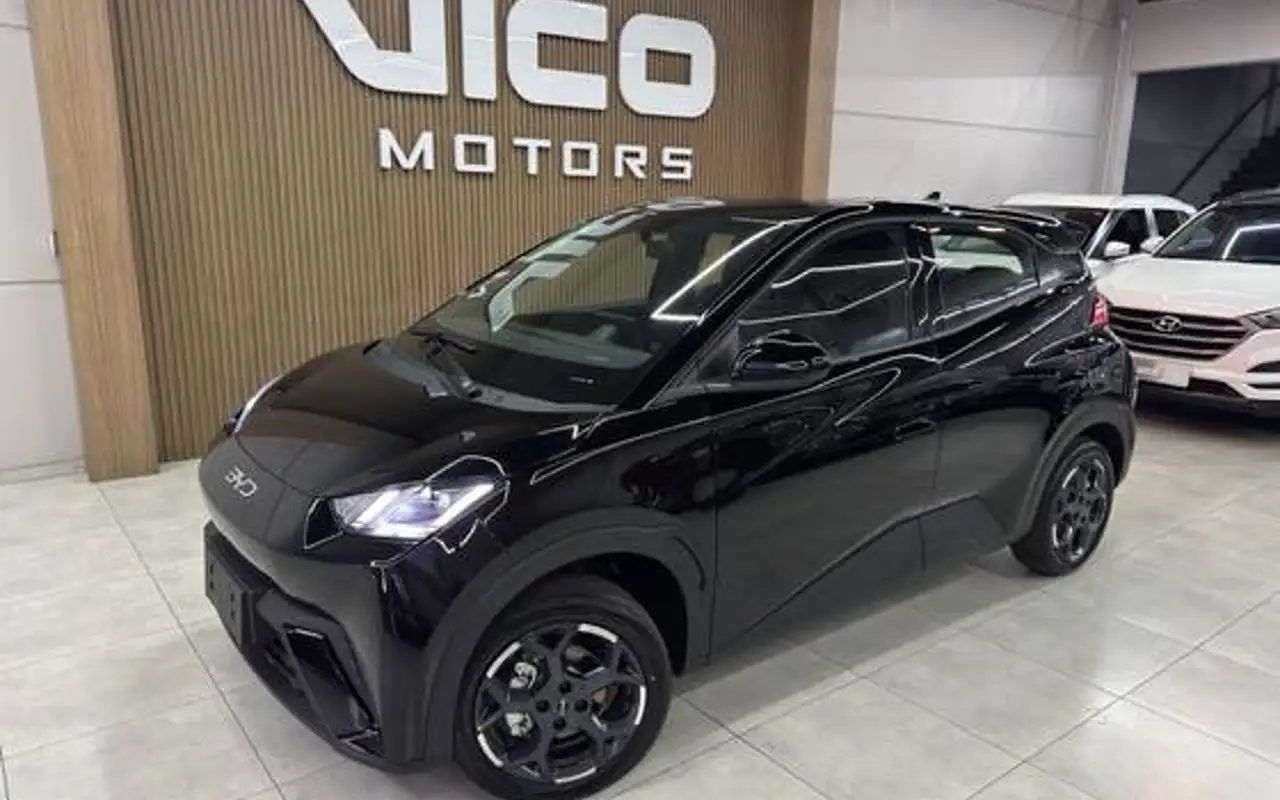 BYD DOLPHIN MINI 38 KW ELÉTRICO GS — foto 1 de 8