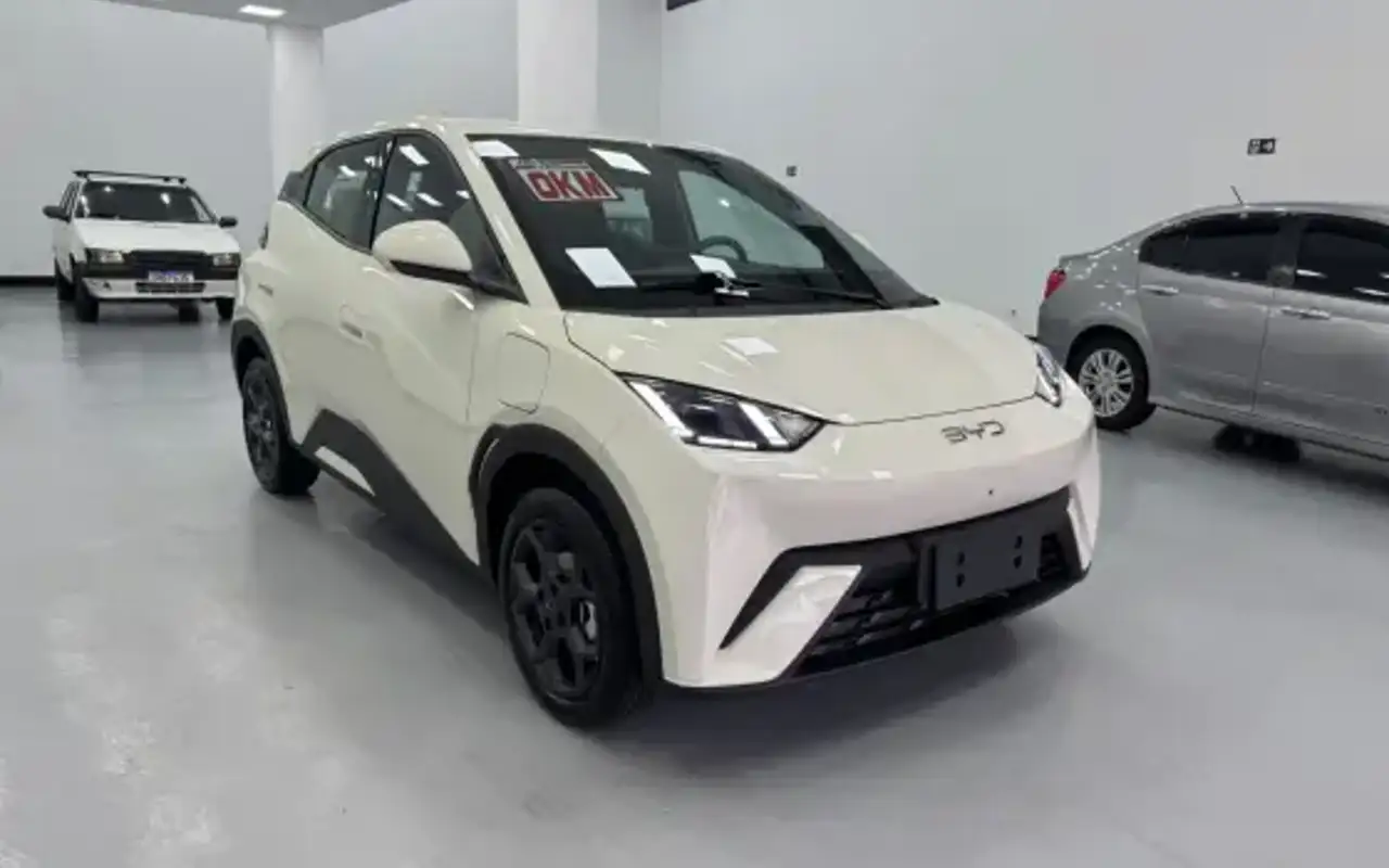 BYD DOLPHIN MINI 38 KW ELÉTRICO GS — foto 1 de 15