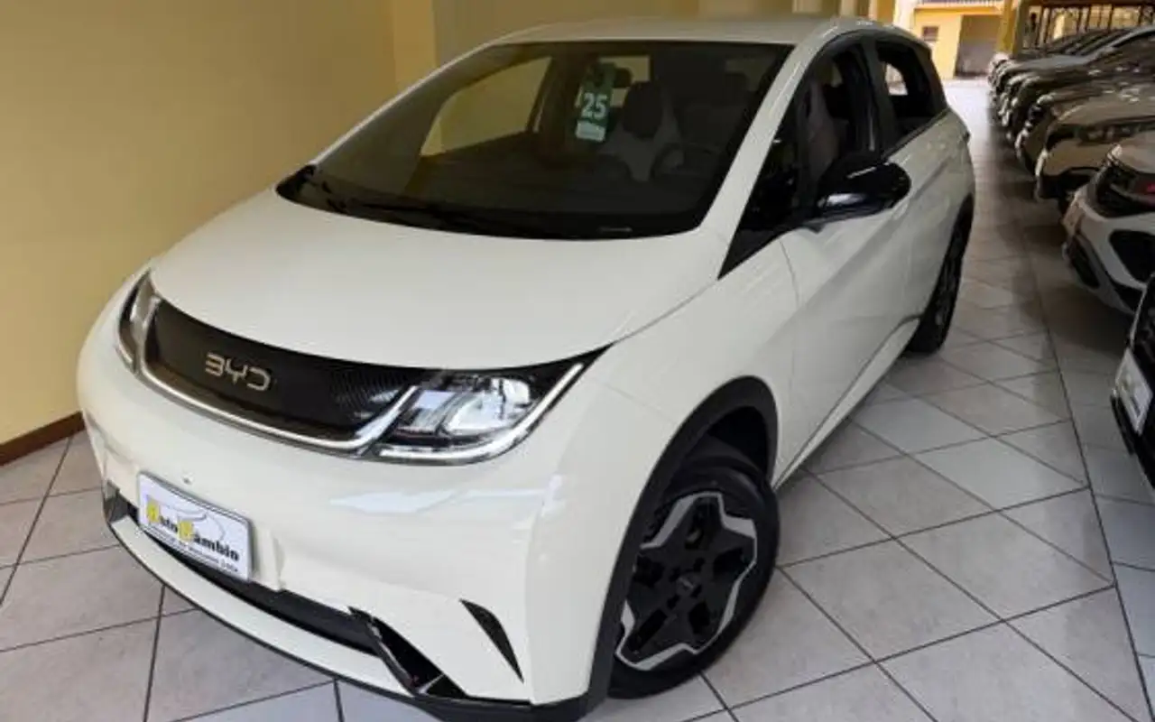 BYD DOLPHIN 44,9 KW ELÉTRICO GS — foto 1 de 20