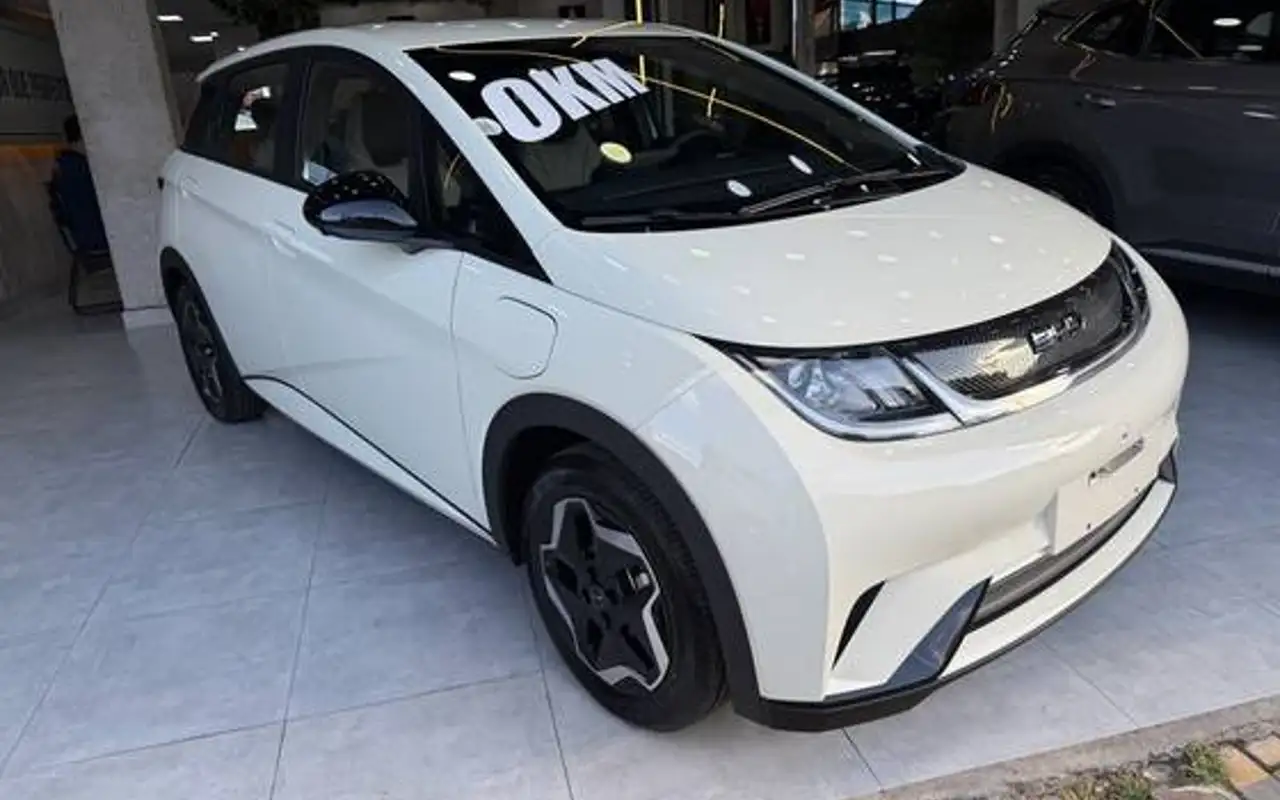 BYD DOLPHIN 44,9 KW ELÉTRICO GS — foto 1 de 20