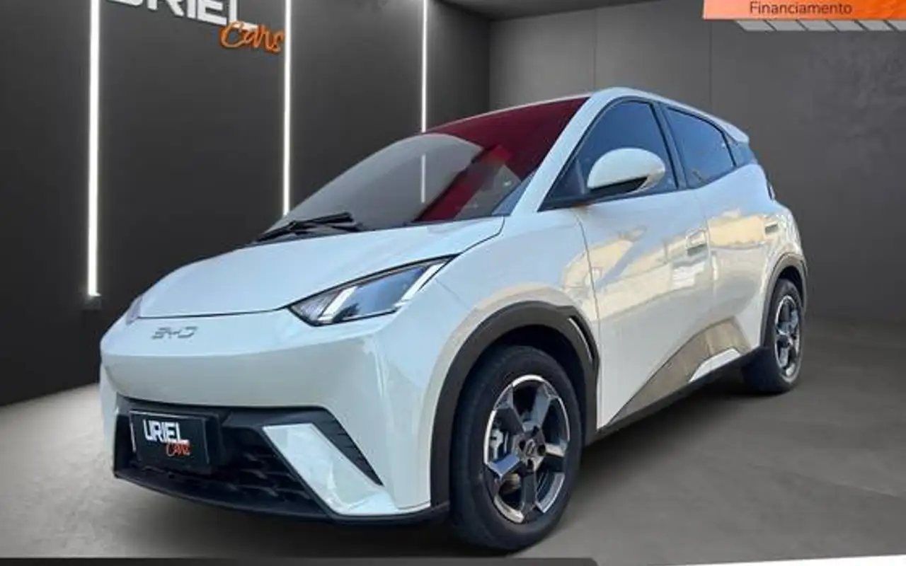 BYD DOLPHIN MINI 38 KW ELÉTRICO 5L — foto 1 de 14