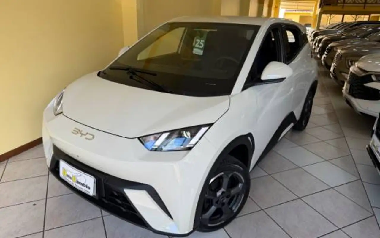 BYD DOLPHIN MINI 38 KW ELÉTRICO 5L — foto 1 de 20