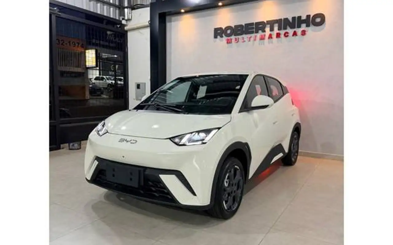 BYD DOLPHIN MINI 38 KW ELÉTRICO GS — foto 1 de 16