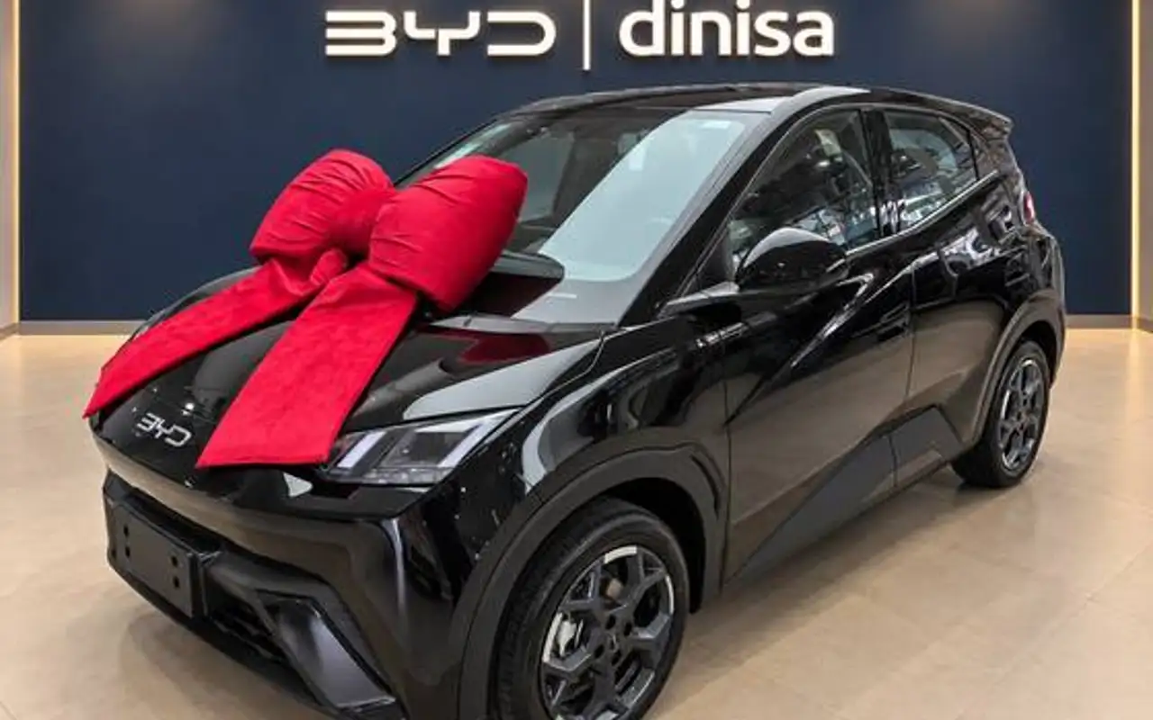BYD DOLPHIN MINI 38 KW ELÉTRICO GS — foto 1 de 10