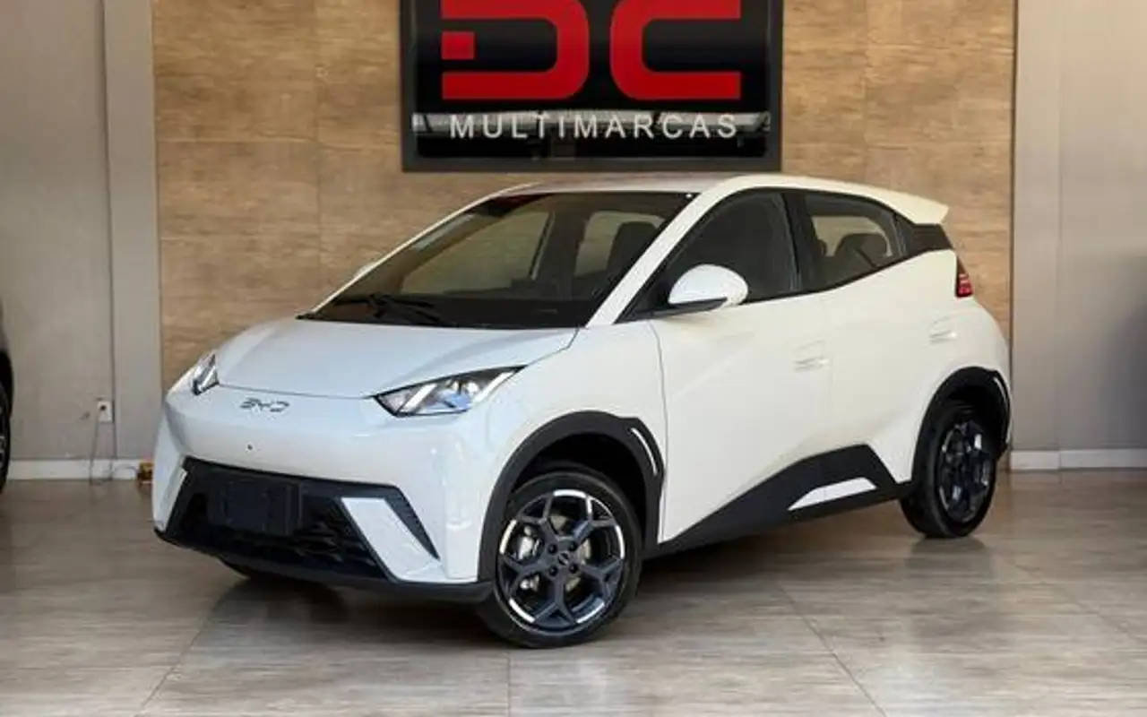BYD DOLPHIN MINI 38 KW ELÉTRICO GS — foto 1 de 13