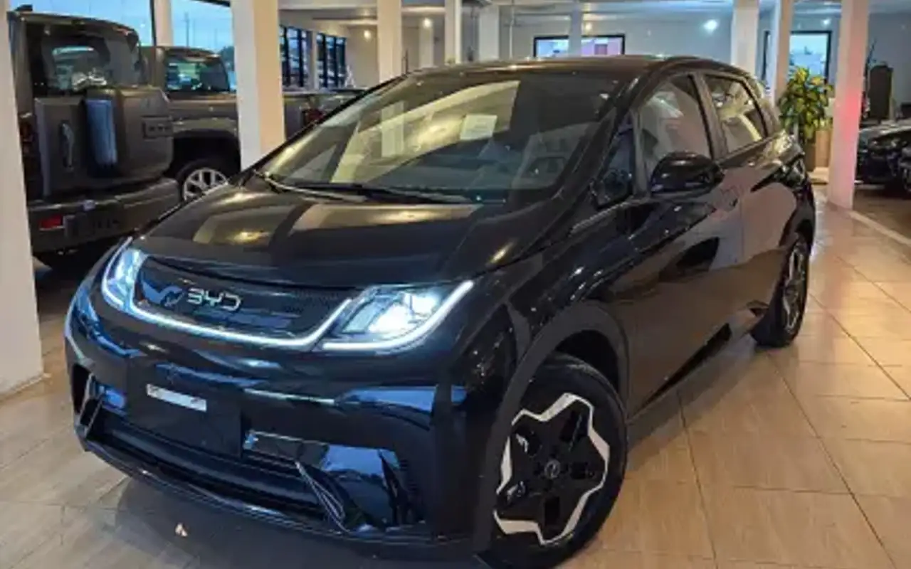 BYD DOLPHIN 44,9 KW ELÉTRICO GS — foto 1 de 16