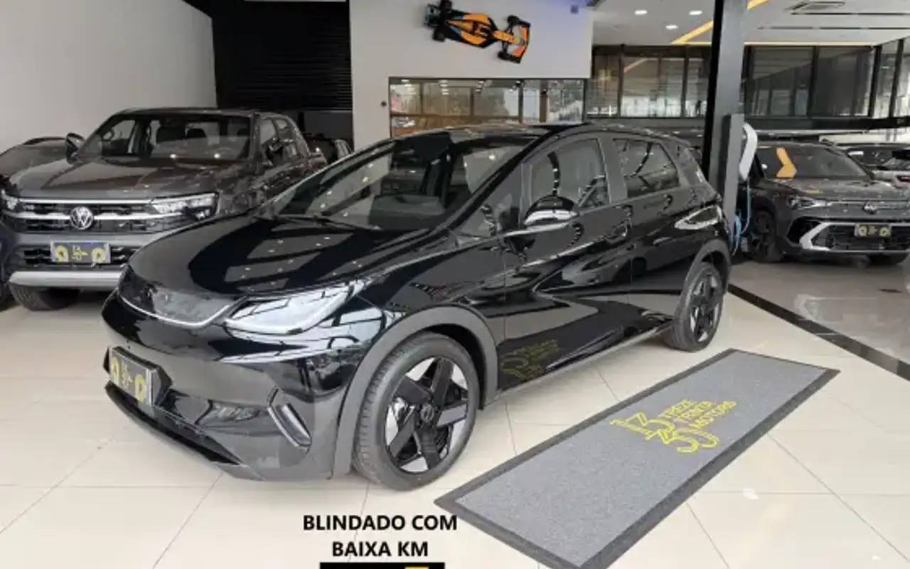 BYD DOLPHIN 45,1 KW ELÉTRICO SE — foto 1 de 20