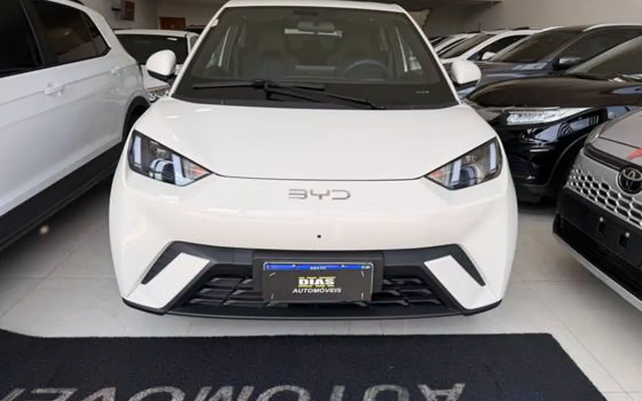 BYD DOLPHIN MINI 38 KW ELÉTRICO GS — foto 1 de 12