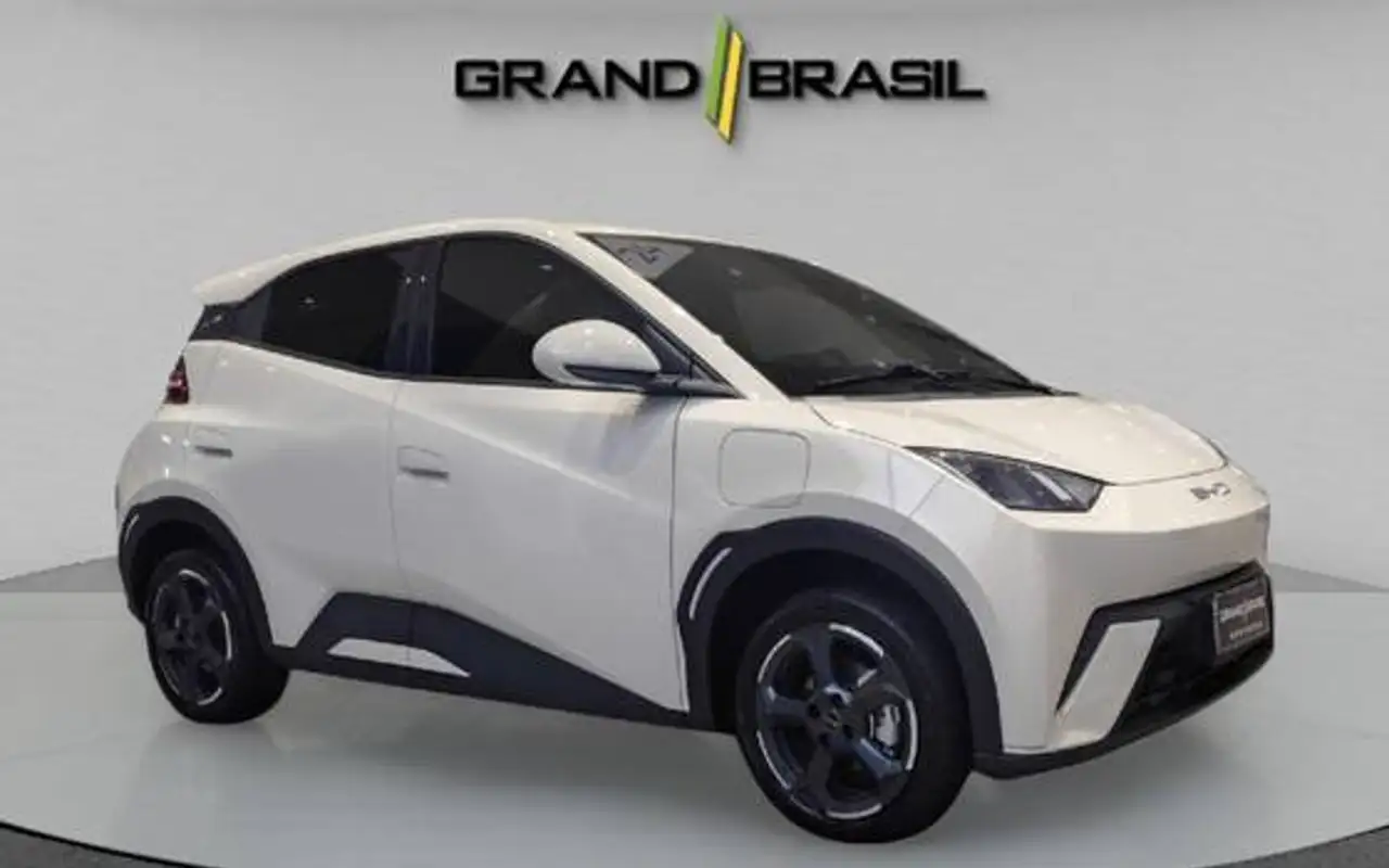 BYD DOLPHIN MINI 38 KW ELÉTRICO — foto 1 de 12