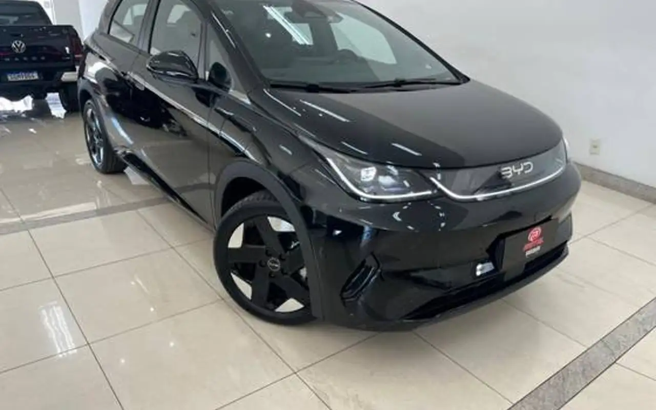 BYD DOLPHIN 45,1 KW ELÉTRICO SE — foto 1 de 20