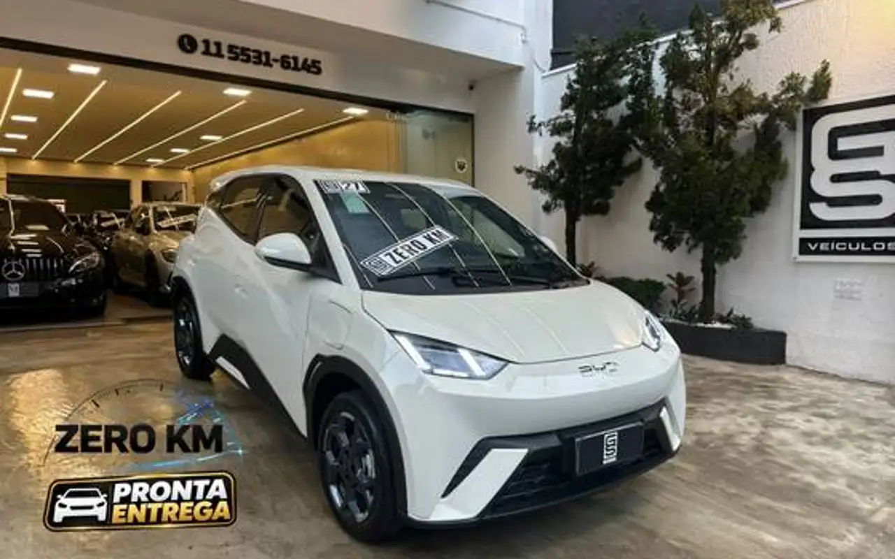 BYD DOLPHIN MINI 38 KW ELÉTRICO GL — foto 1 de 16